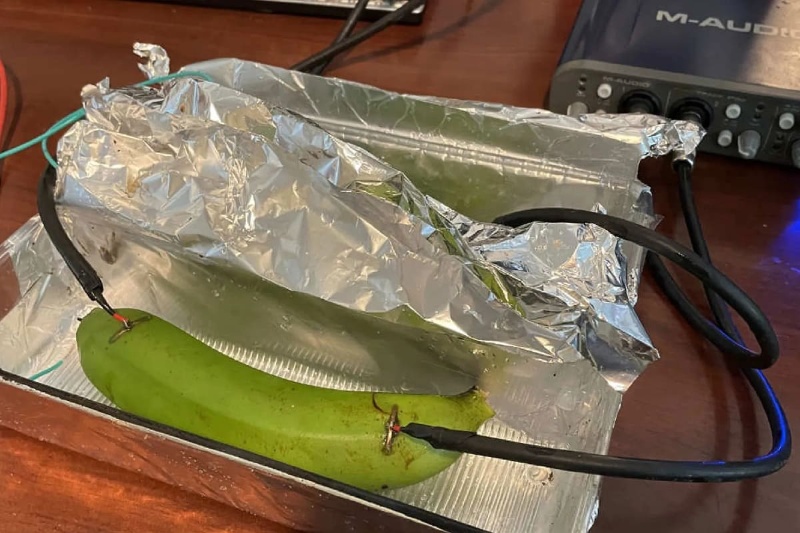 مقایسه کابل چند هزار دلاری و موز؛ کدام‌یک صدای بهتری منتقل می‌کند؟