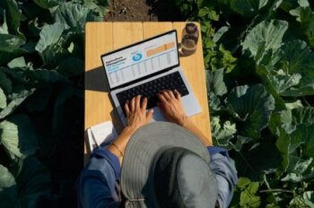 نمایشگر “نور روز”: صفحه‌نمایش‌هایی که در زیر نور آفتاب واقعاً کار می‌کنند